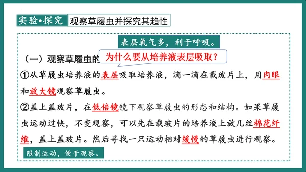第一单元第三章从细胞到生物体（复习课件）-七年级生物上册同步教学精制课件（人教版2024）(共44张