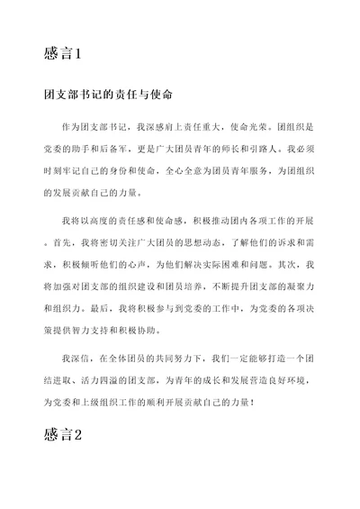 团支部书记的感言