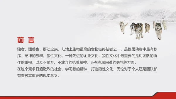 狼性文化企业培训PPT模板