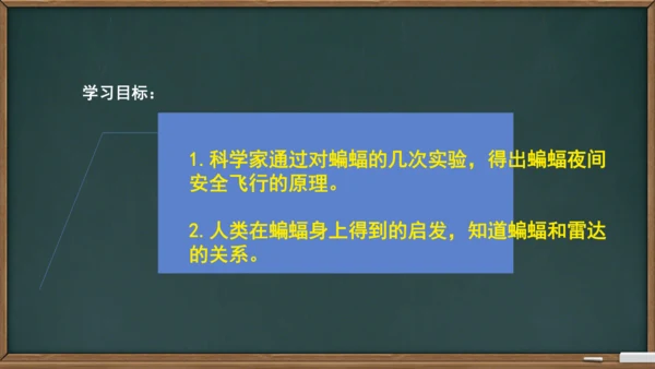 6 夜间飞行的秘密（课件）