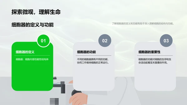 细胞学基础解读