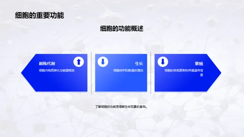 商务风生物医疗教学课件PPT模板