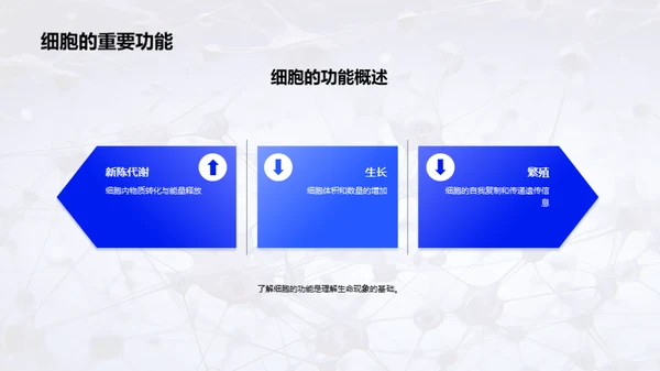 商务风生物医疗教学课件PPT模板