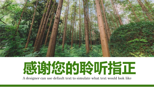 原始森林湿地植树造林森林环保PPT模板