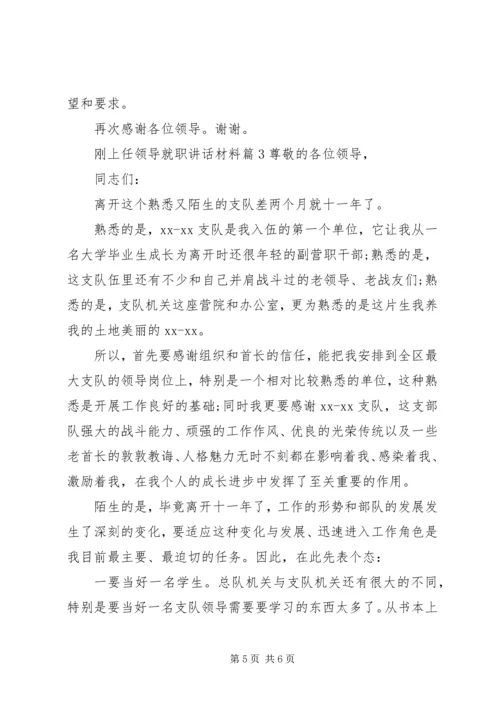 刚上任领导就职讲话材料.docx