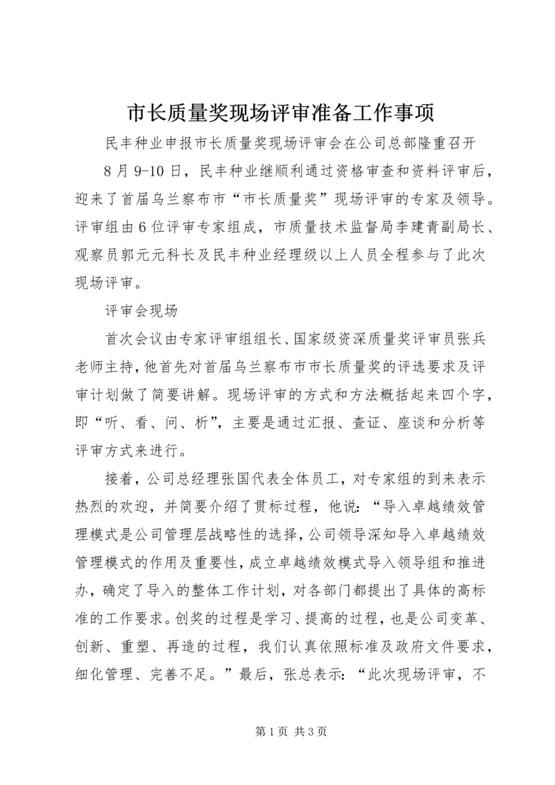 市长质量奖现场评审准备工作事项 (2).docx