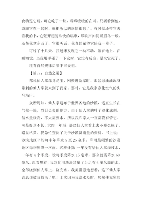 自然之道作文300字.docx