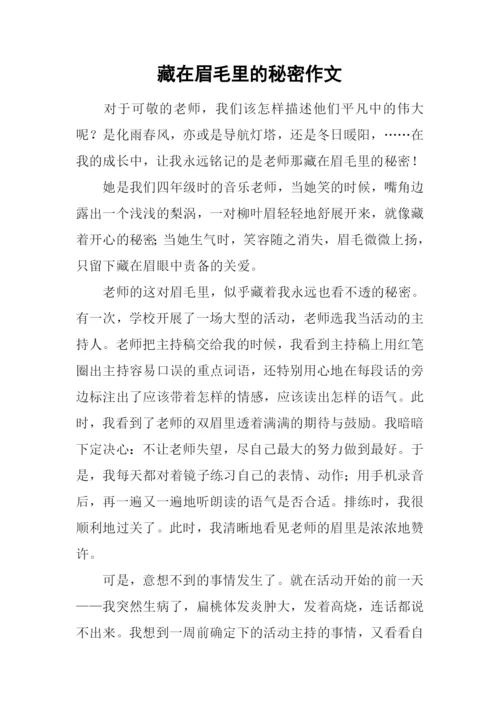 藏在眉毛里的秘密作文.docx