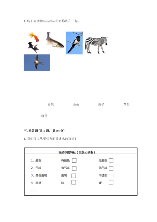 教科版一年级下册科学期末测试卷重点.docx