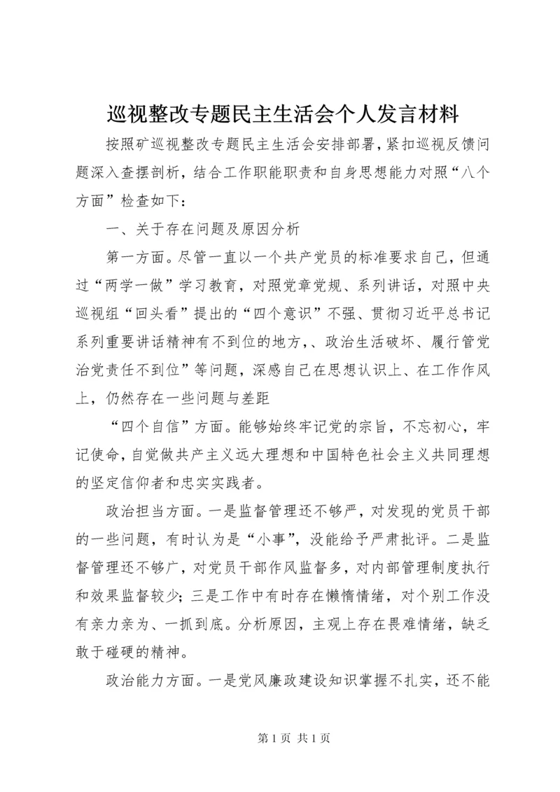 巡视整改专题民主生活会个人发言材料.docx