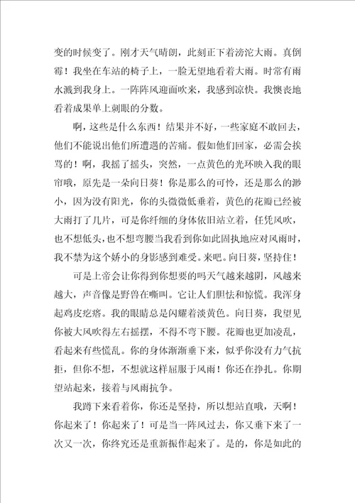 无惧风雨作文