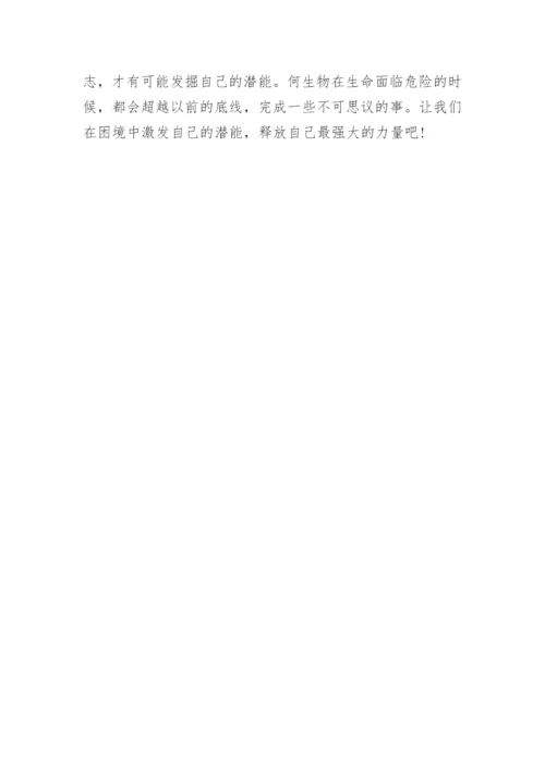 困境的作用议论文.docx