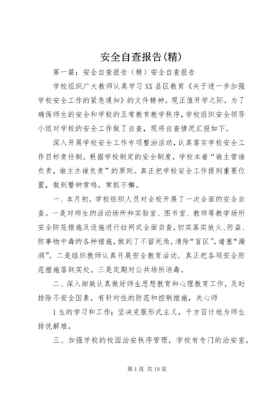 安全自查报告(精).docx