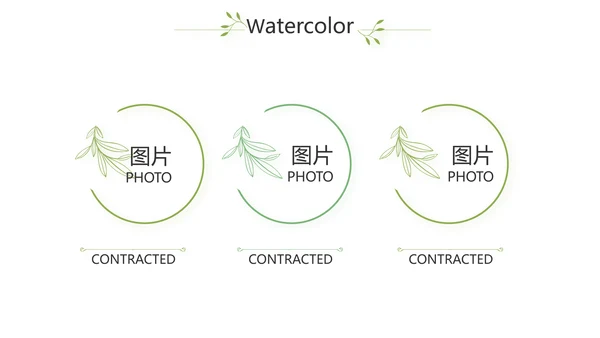 银杏叶医药工作总结汇报动态PPT