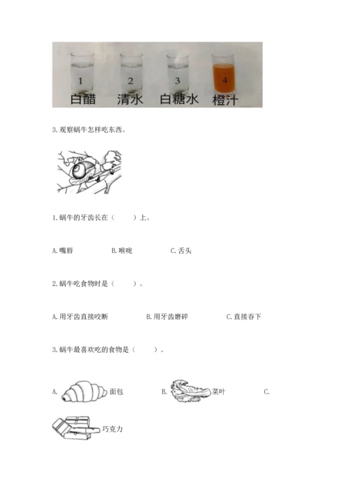 教科版一年级下册科学期末测试卷（实用）word版.docx