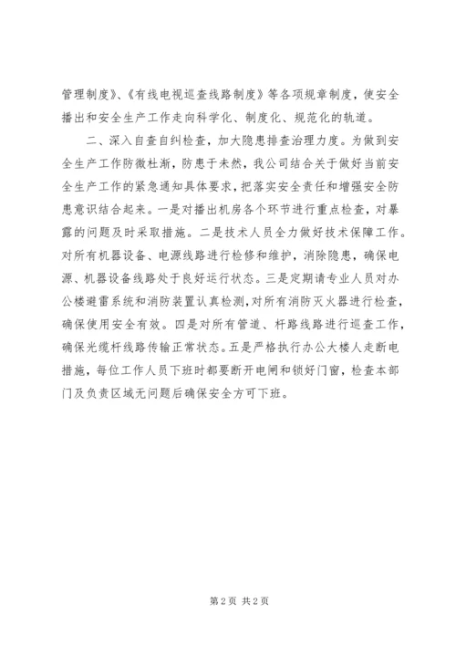 安全生产隐患整治工作汇报.docx