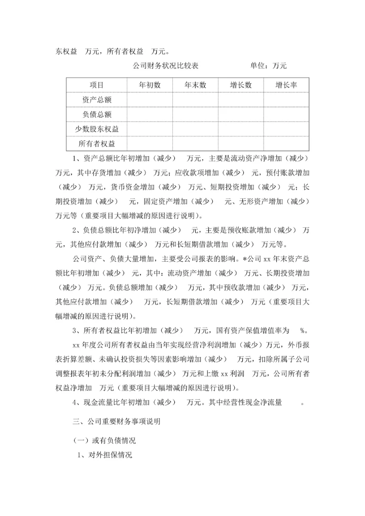 财务年度分析报告