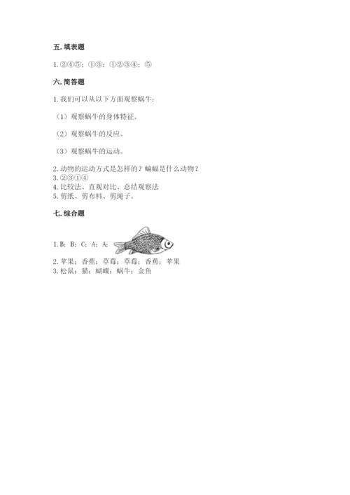 教科版小学科学一年级下册期末测试卷【word】.docx