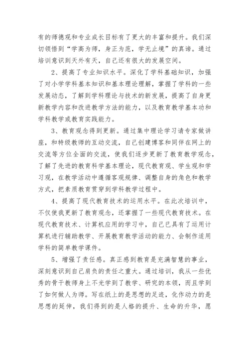 教师继续教育培训总结2023年.docx