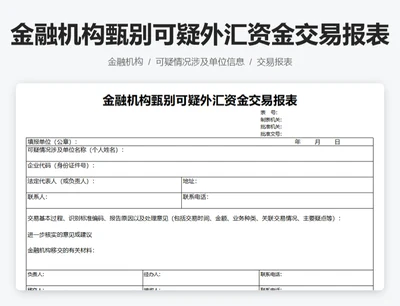 金融机构甄别可疑外汇资金交易报表