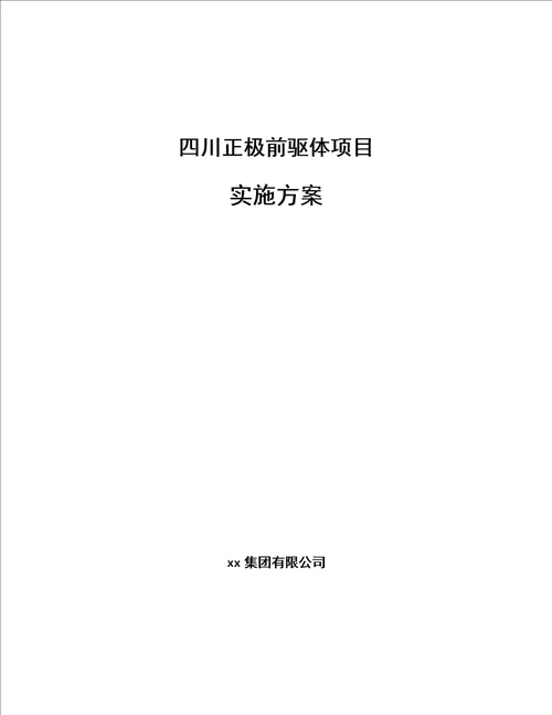 四川正极前驱体项目实施方案范文样例