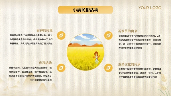 黄色节气之小满PPT模版