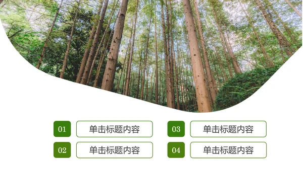 原始森林湿地植树造林森林环保PPT模板