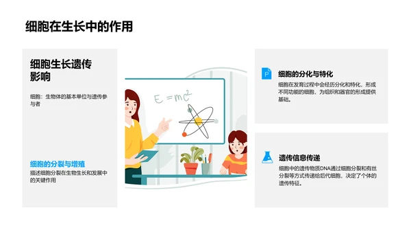 细胞学基础讲座PPT模板