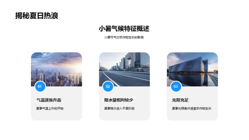 小暑气候与农业优化