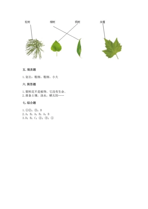 教科版科学一年级上册第一单元《植物》测试卷及完整答案（名师系列）.docx