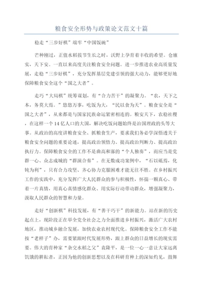 粮食安全形势与政策论文范文十篇.docx