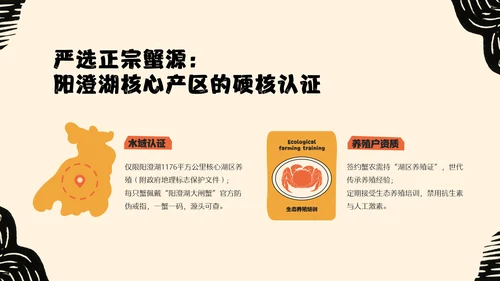 黄橙色手绘中国美食阳澄湖大闸蟹介绍PPT模板