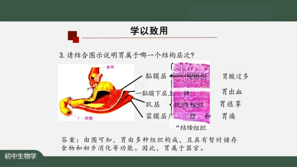 2.2.2 动物体的结构层次 课件（共24张PPT）