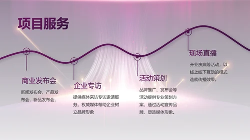 紫色公司品牌发布会策划方案工作总结PPT