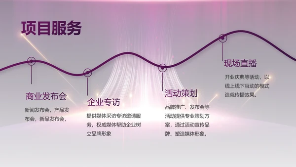 紫色公司品牌发布会策划方案工作总结PPT