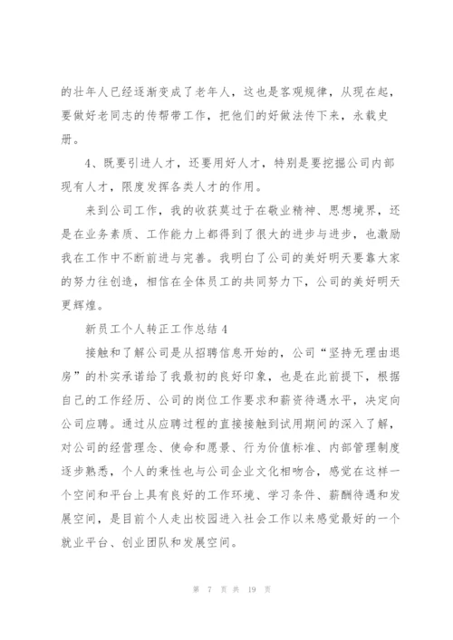 新员工个人转正工作总结.docx