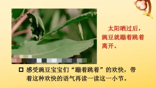 3 植物妈妈有办法  课件