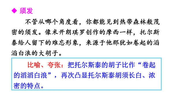 3 列夫·托尔斯泰 课件