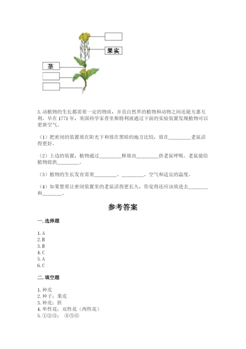 科学四年级下册第一单元植物的生长变化测试卷精品【名师系列】.docx