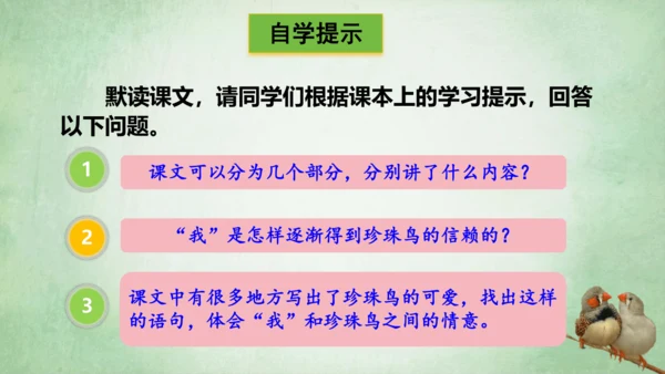 4.珍珠鸟 课件