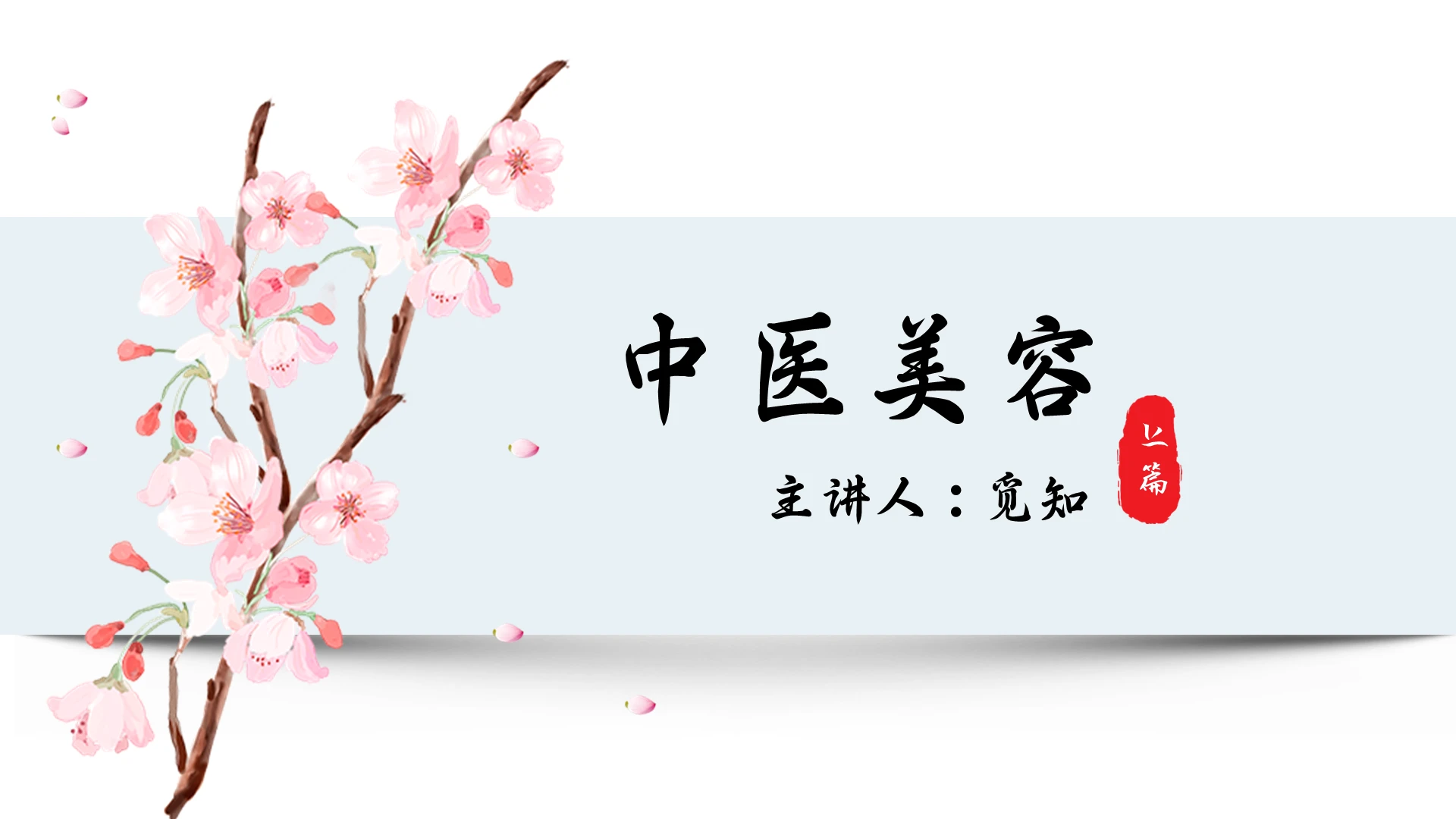 中医美容简约中国风蓝色美容培训食疗