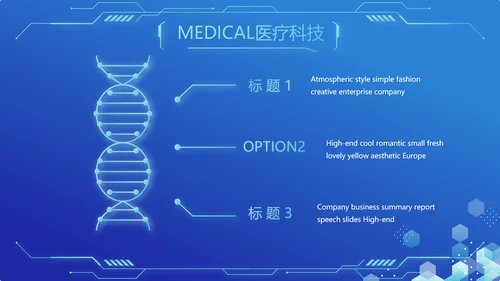 蓝色医疗科技信息化建设工作总结PPT