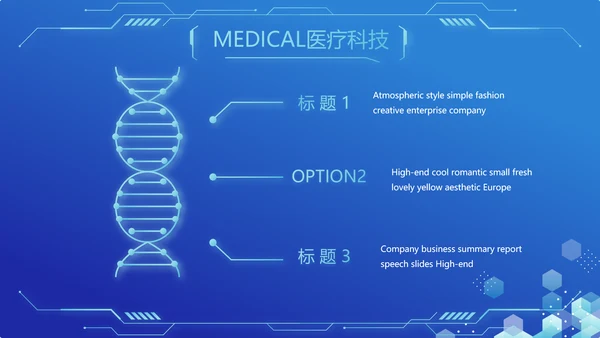 蓝色医疗科技信息化建设工作总结PPT