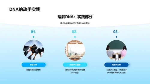 探秘生命密码：DNA