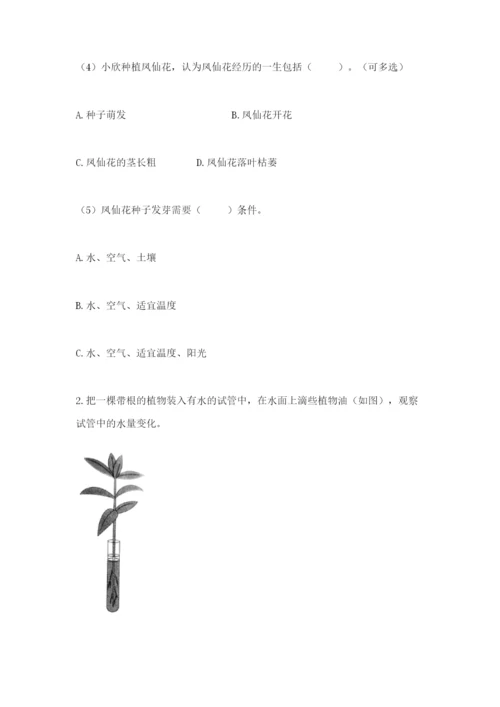 科学四年级下册第一单元植物的生长变化测试卷（精品）.docx