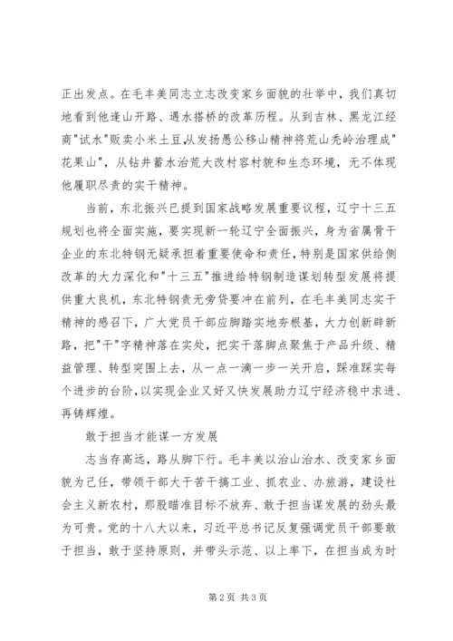 学习毛丰美事迹心得体会 (2).docx