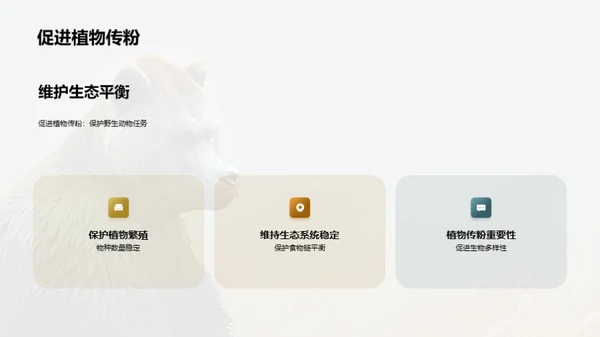 简约风其他行业教学课件PPT模板