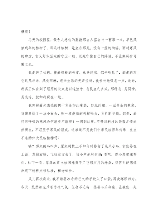 10篇描写冬天校园的作文
