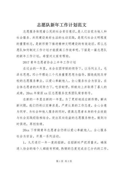 志愿队新年工作计划范文.docx