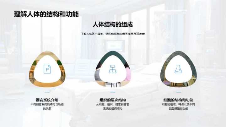 人体解剖学探索